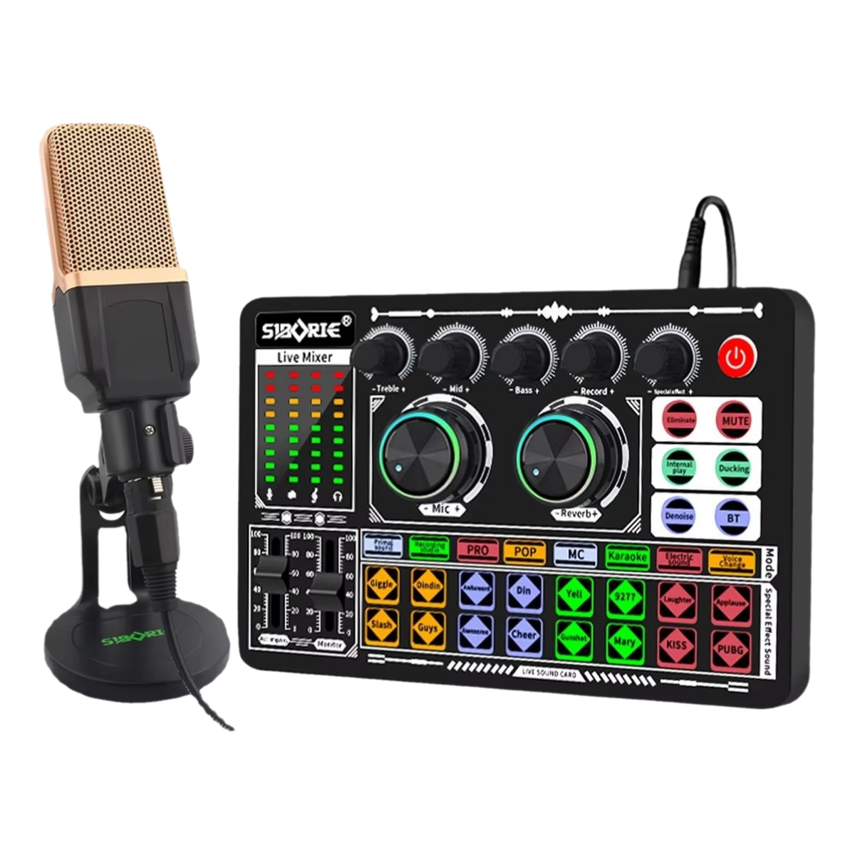 F999 + M998 Sound Card Microphone Set